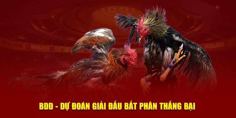 BDD - Dự đoán giải đấu bất phân thắng bại