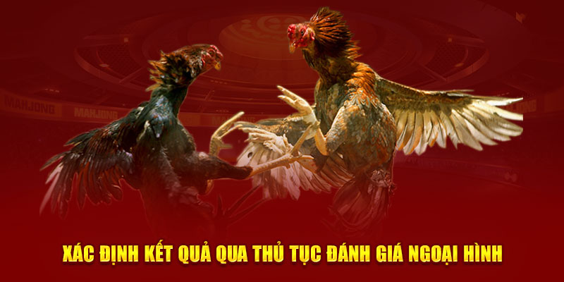 Xác định kết quả qua thủ tục đánh giá ngoại hình